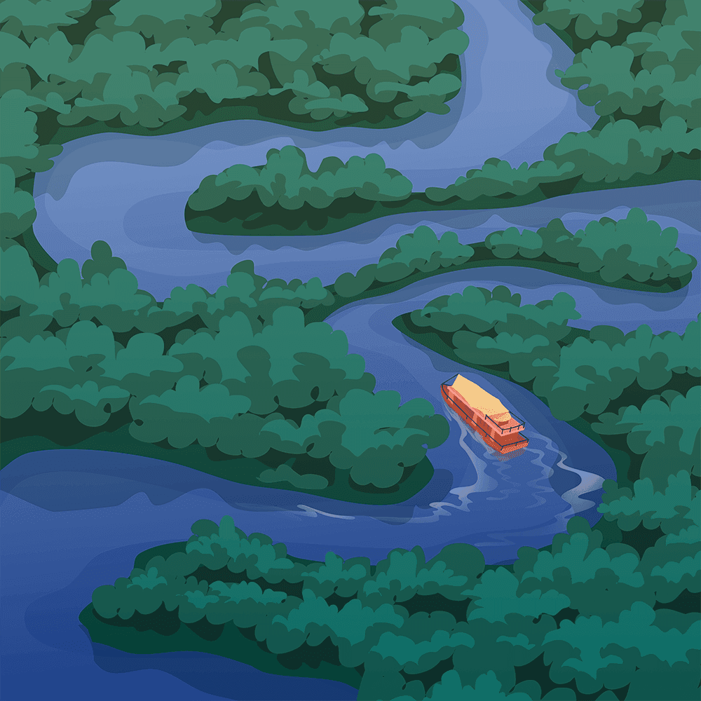 A Cruise Down the Amazon