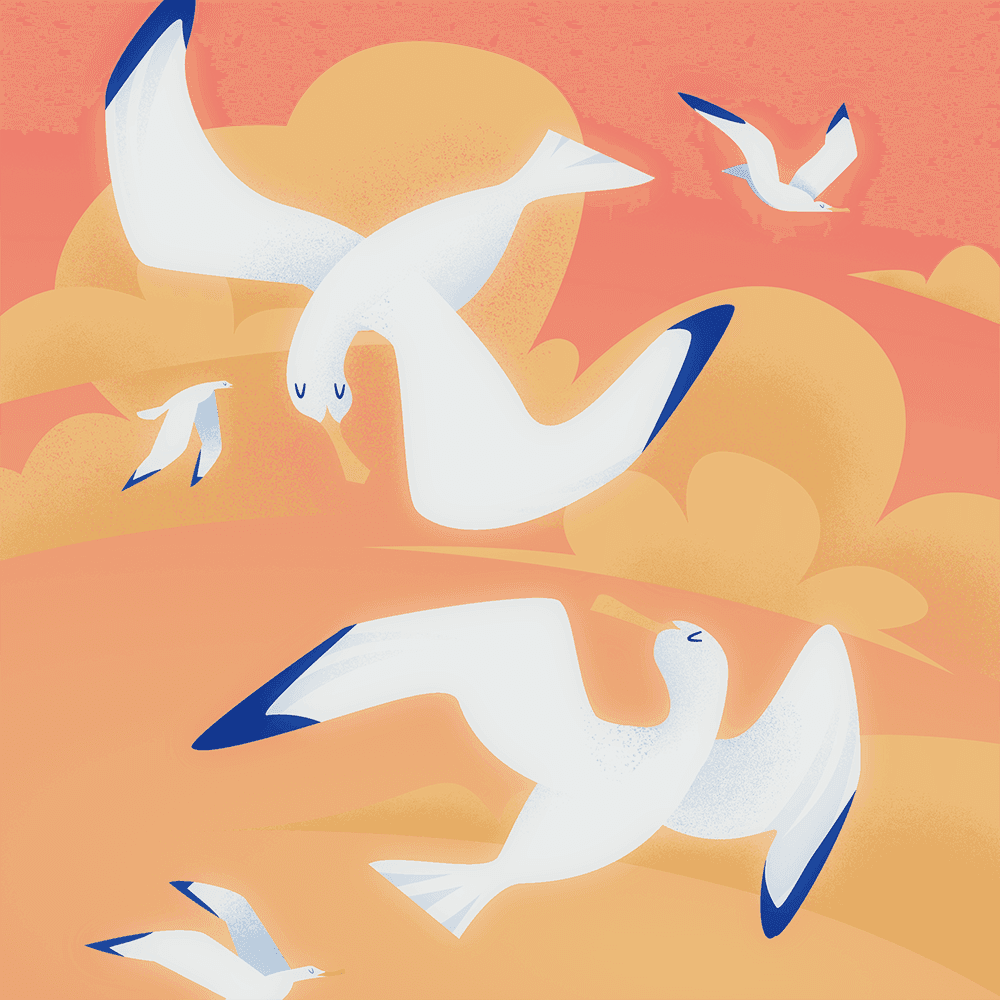 Tangaroa’s Slumber